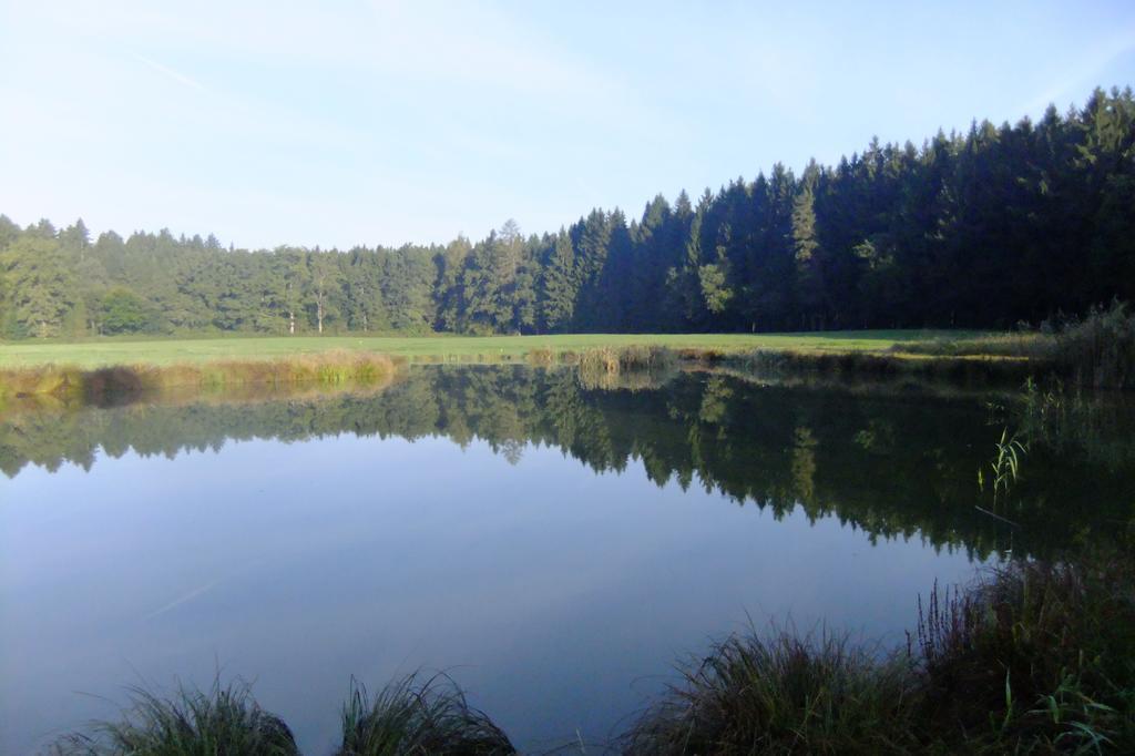 Appartement Zehentmayrhof *